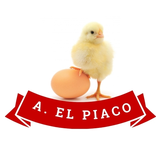 agroindustrial el paico sa